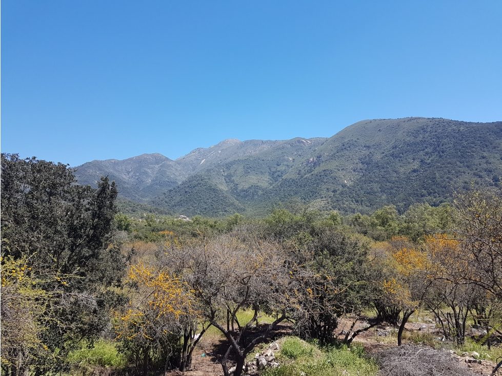 Parcela en venta en Paine — foto 7