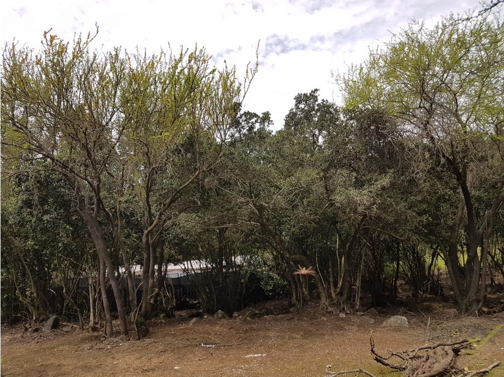 Parcela en venta en Paine — foto 8