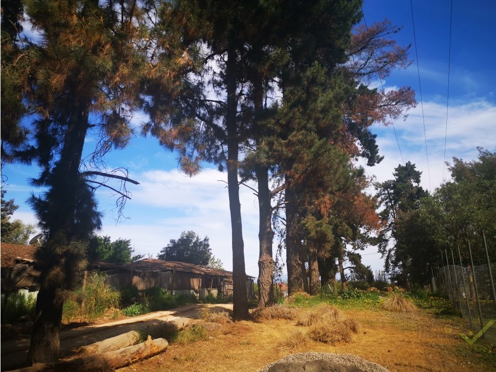 Parcela en venta en Talagante — foto 5