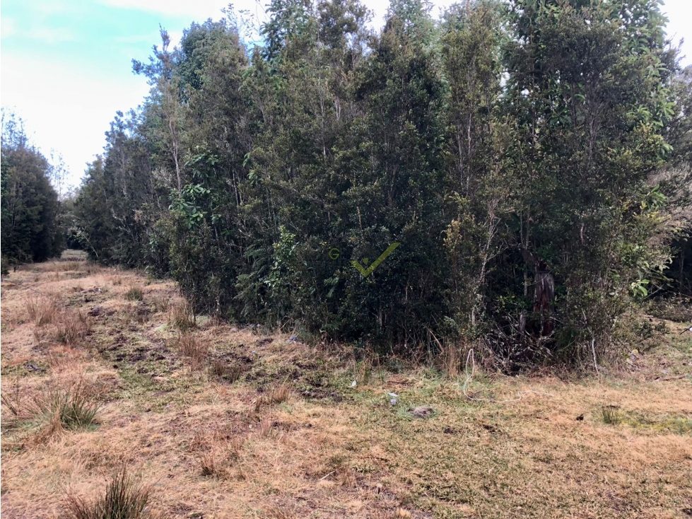 Parcela en venta en Puerto Varas — foto 3