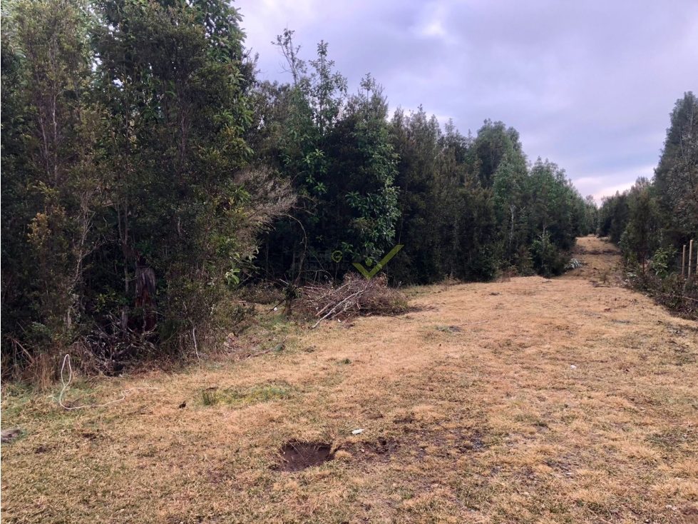 Parcela en venta en Puerto Varas — foto 4