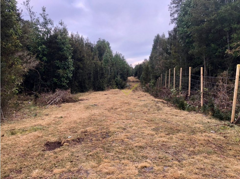 Parcela en venta en Puerto Varas — foto 7