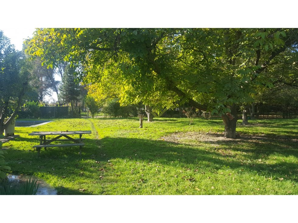 Parcela en venta en San Bernardo — foto 3