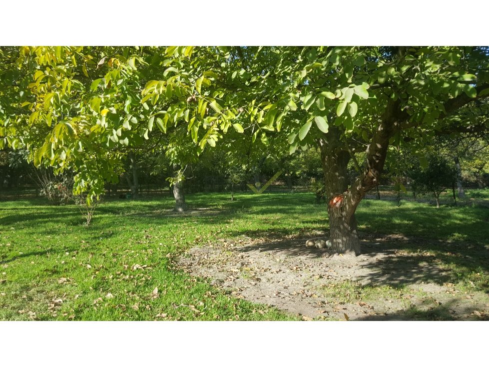 Parcela en venta en San Bernardo — foto 4