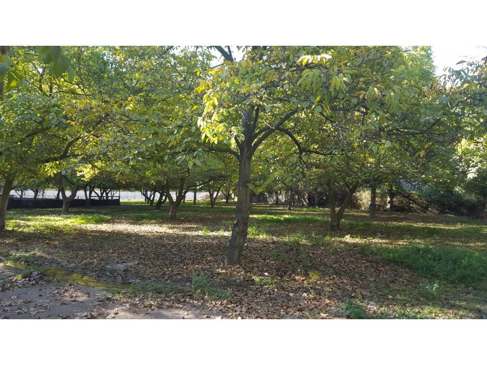 Parcela en venta en San Bernardo — foto 9