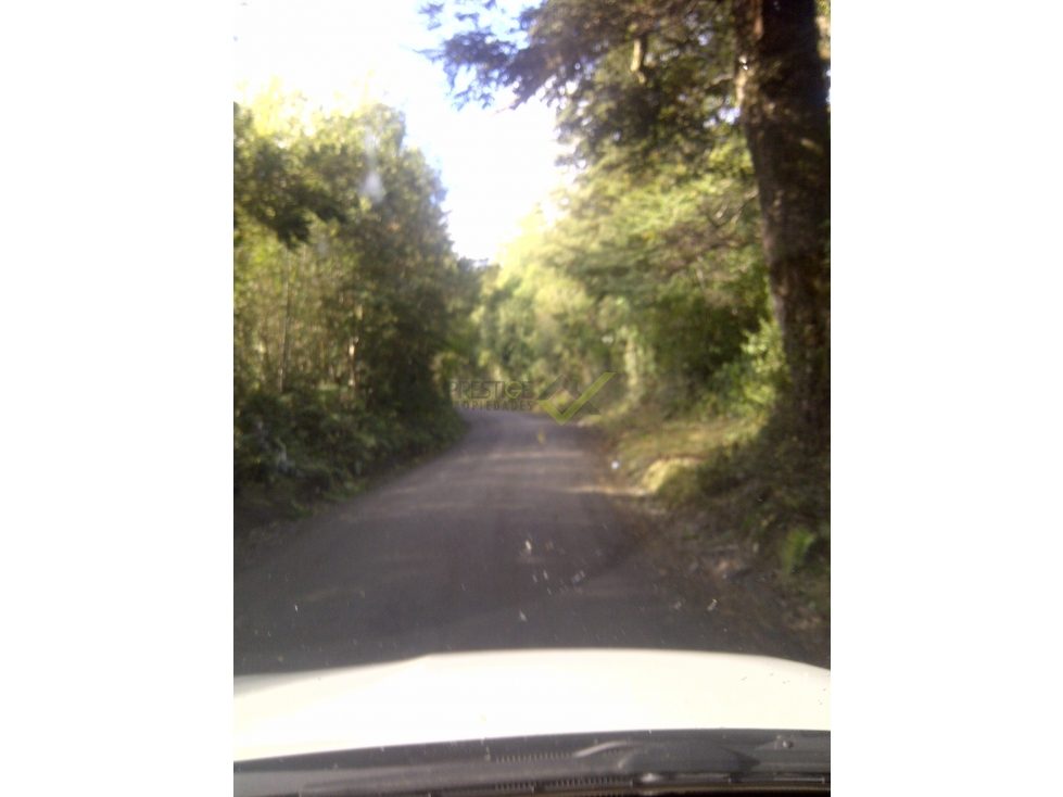 Parcela en venta en Puerto Varas — foto 4