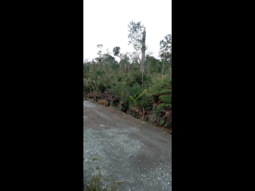 Parcela en venta en Puerto Varas — foto 5