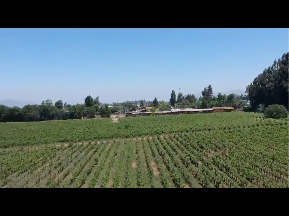 Parcela en venta en Buin — foto 4