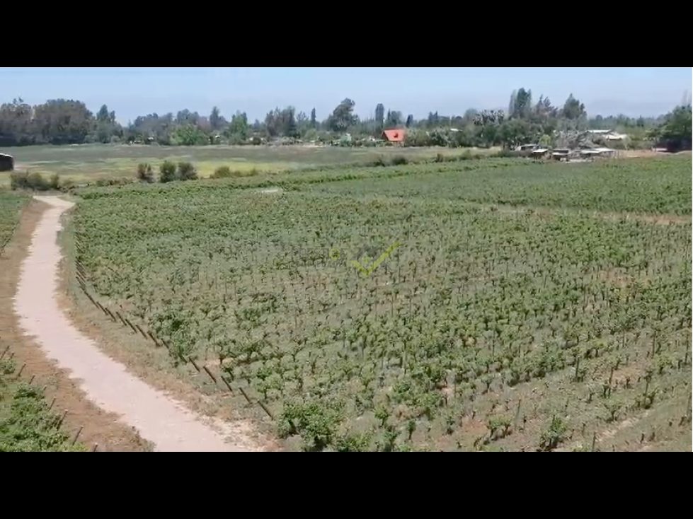 Parcela en venta en Buin — foto 5