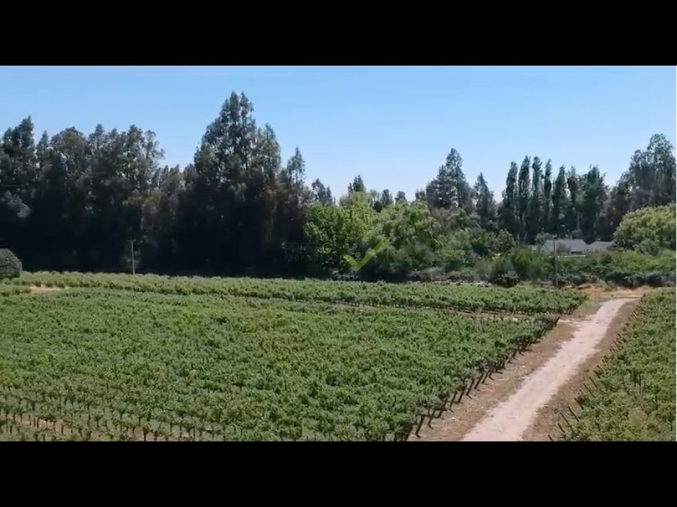 Parcela en venta en Buin — foto 7