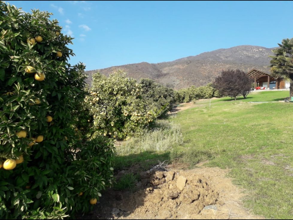Parcela en venta en Melipilla — foto 2