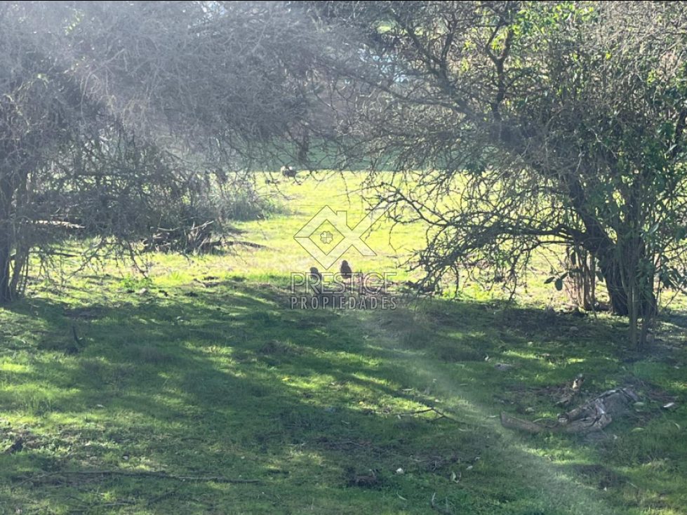 Parcela en venta en Melipilla — foto 4