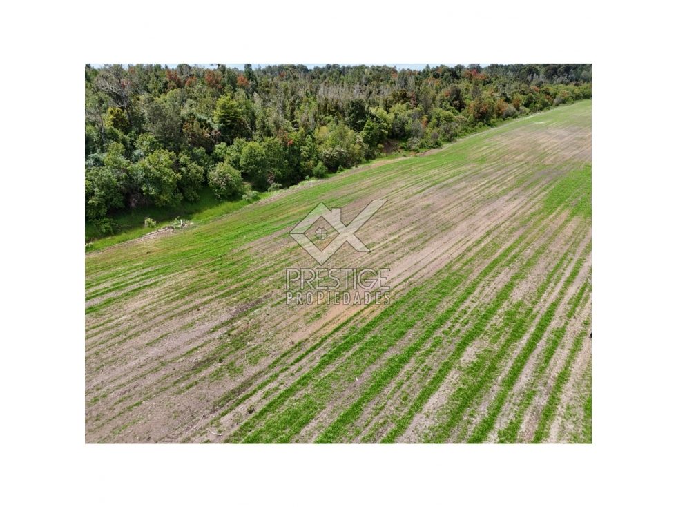 Parcela en venta en Los Muermos — foto 7