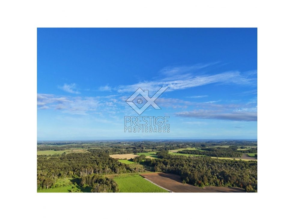 Parcela en venta en Los Muermos — foto 4