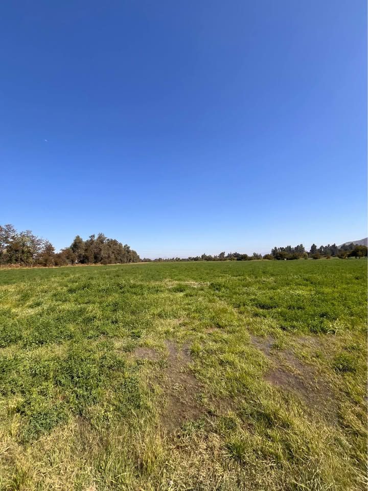 Terreno en venta en San Bernardo — foto 1