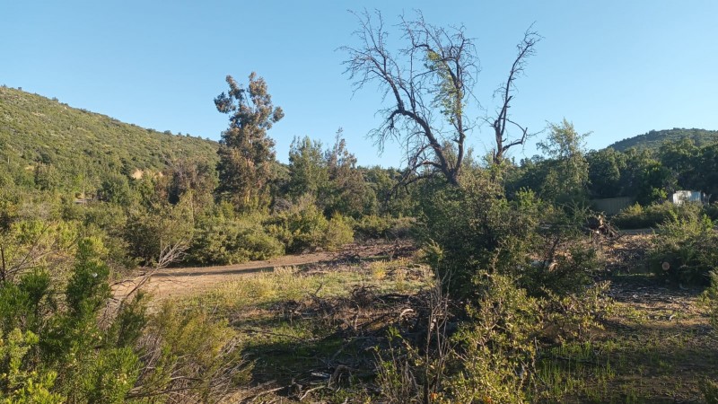 Parcela en venta en Tiltil — foto 8