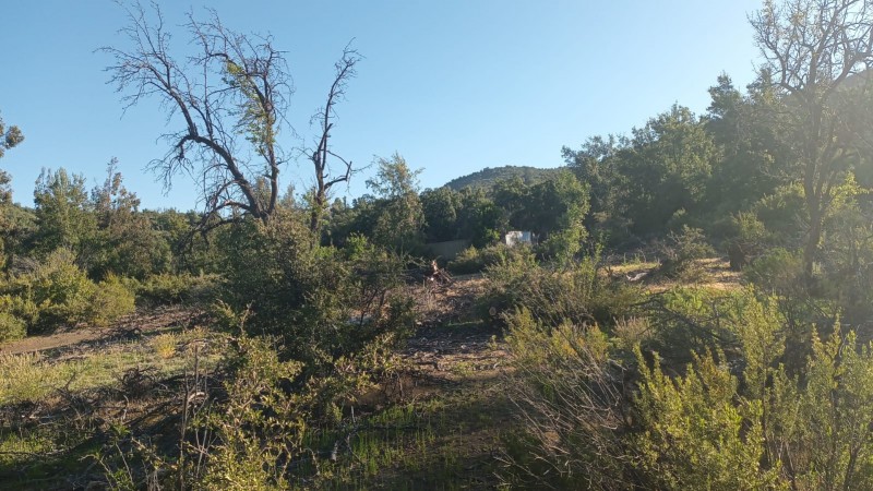 Parcela en venta en Tiltil — foto 9