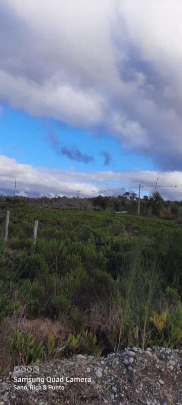 Parcela en venta en Ancud — foto 2