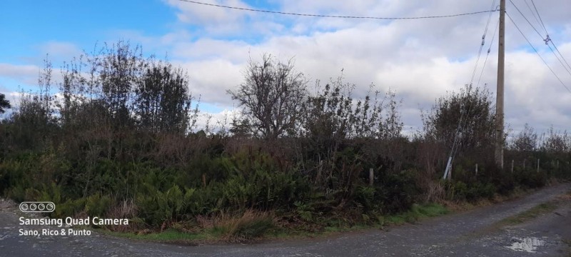 Parcela en venta en Ancud — foto 4