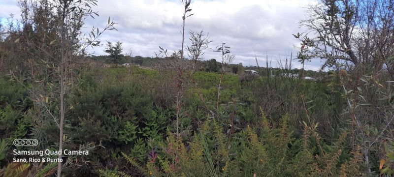Parcela en venta en Ancud — foto 6