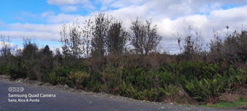 Parcela en venta en Ancud — foto 8