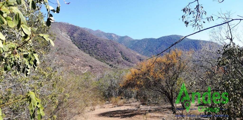 Parcela en venta en Hijuelas — foto 3