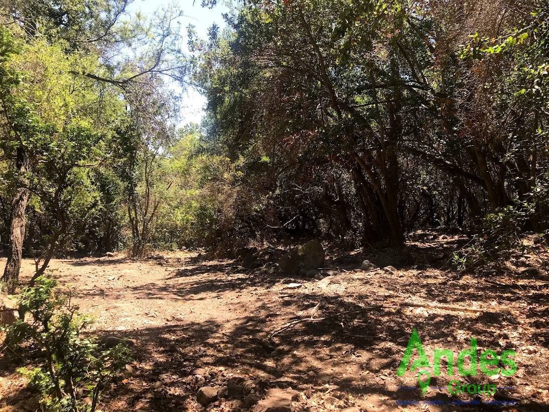 Parcela en venta en Hijuelas — foto 6