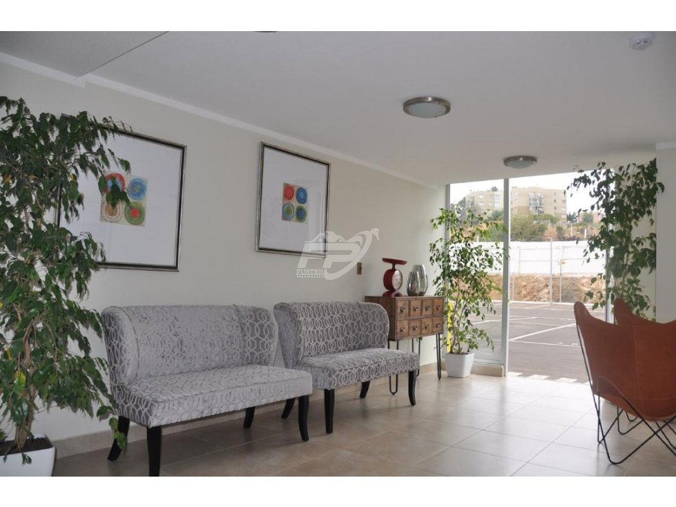 Departamento en arriendo en Viña del Mar — foto 4