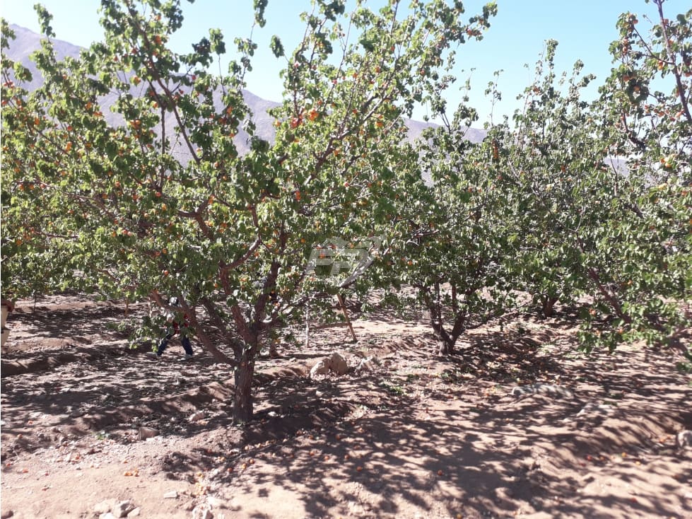 Parcela en venta en Putaendo — foto 1