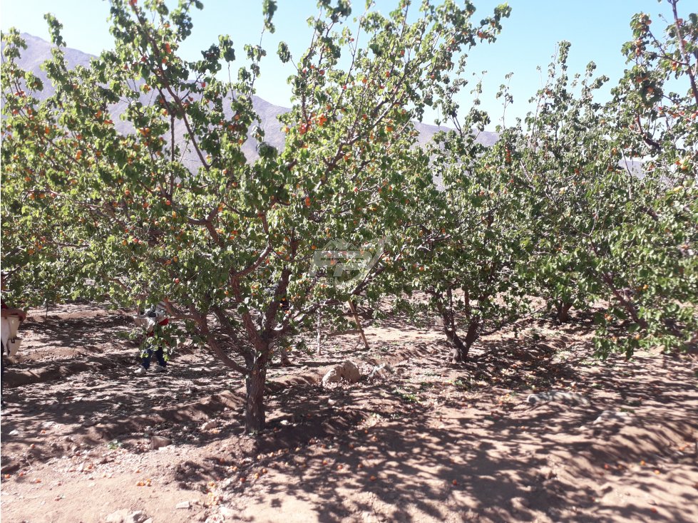 Parcela en venta en Putaendo — foto 2