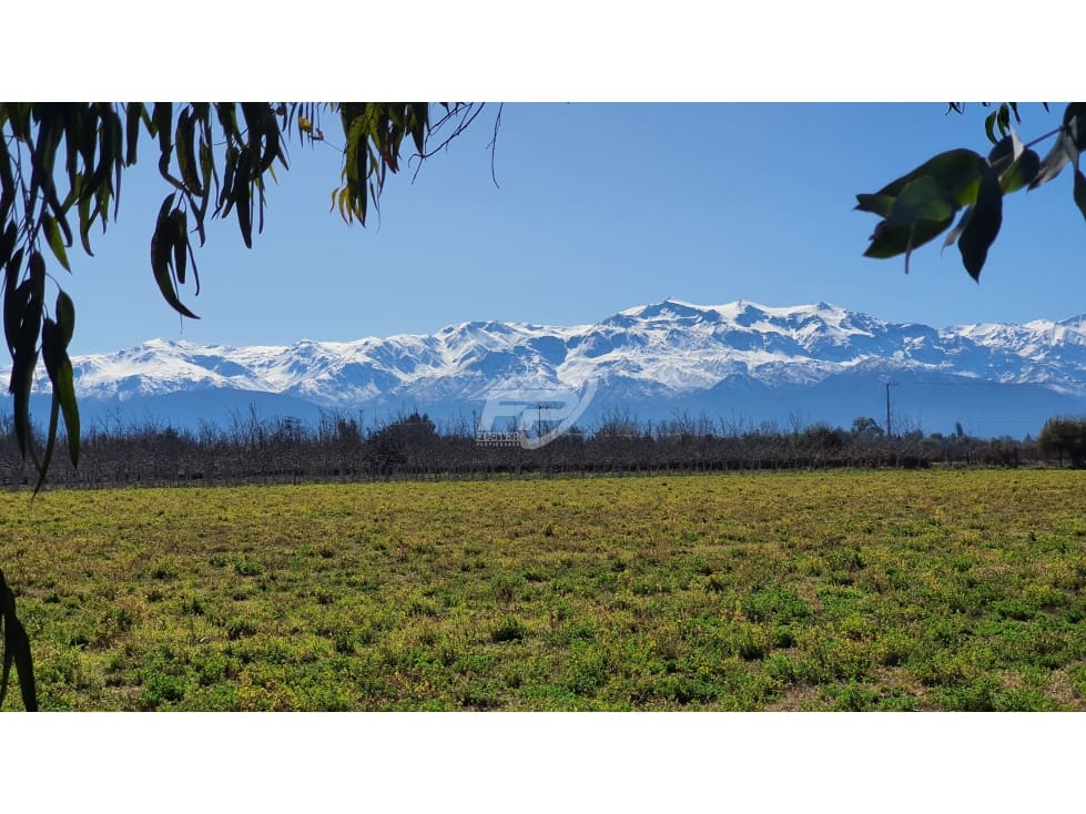 Parcela en venta en Rinconada — foto 1