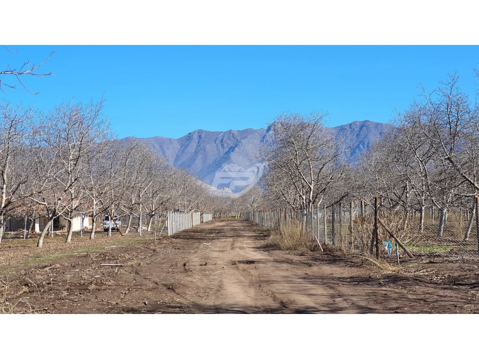 Parcela en venta en Rinconada — foto 6