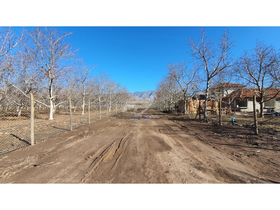 Parcela en venta en Rinconada — foto 7