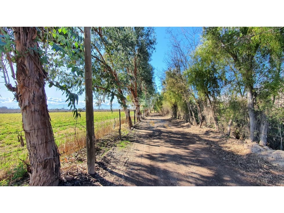 Parcela en venta en Rinconada — foto 10