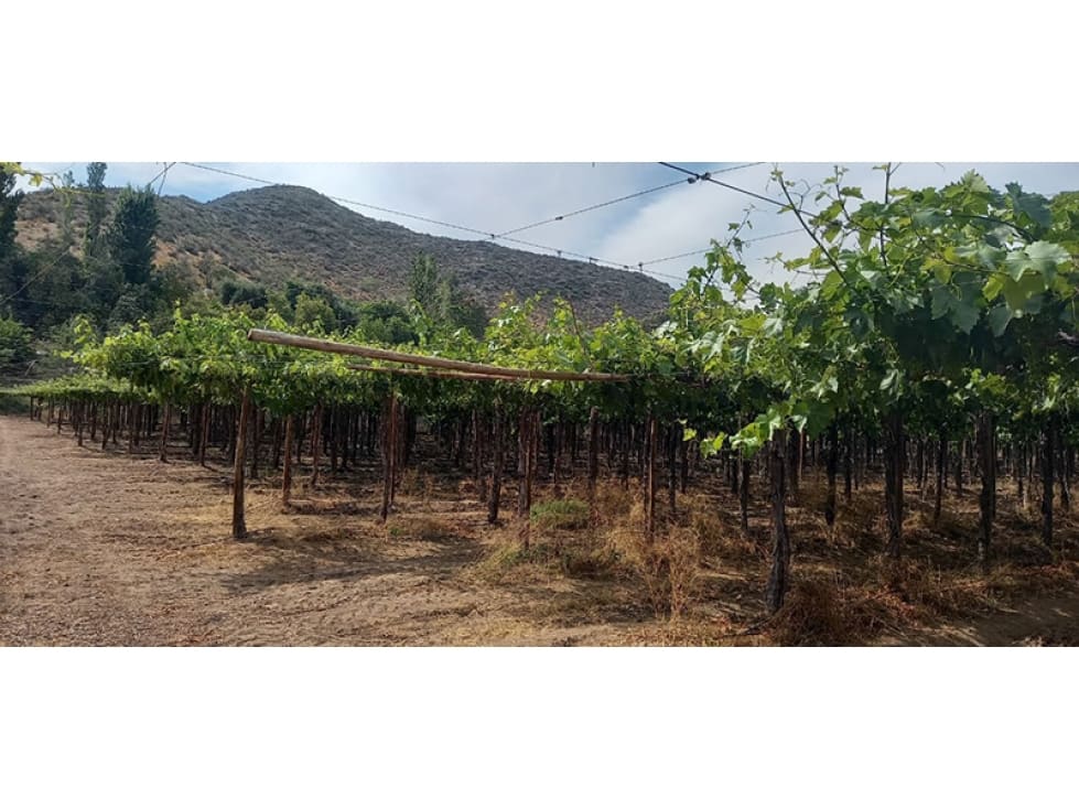 Parcela en venta en San Esteban — foto 1