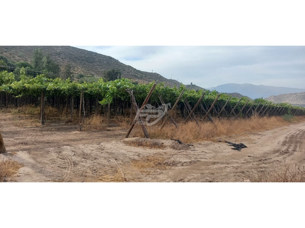 Parcela en venta en San Esteban — foto 2