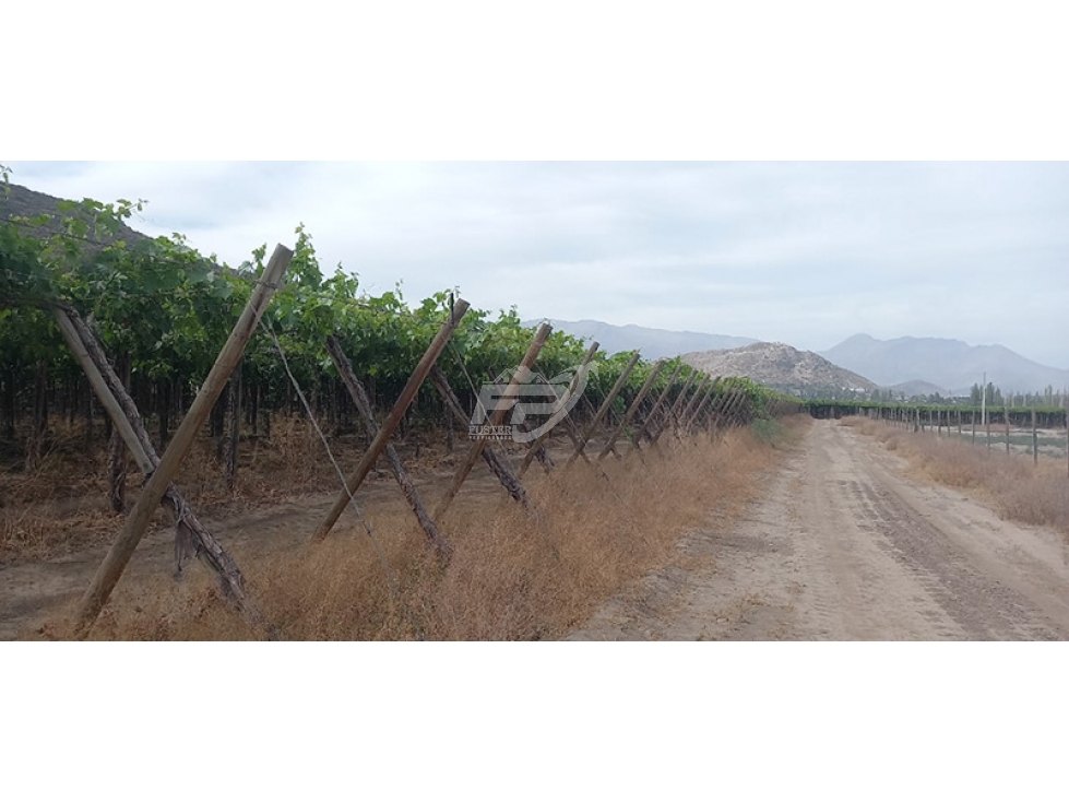 Parcela en venta en San Esteban — foto 3