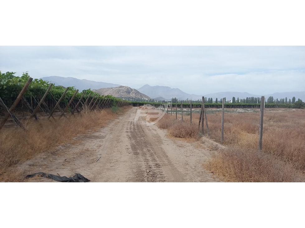 Parcela en venta en San Esteban — foto 5