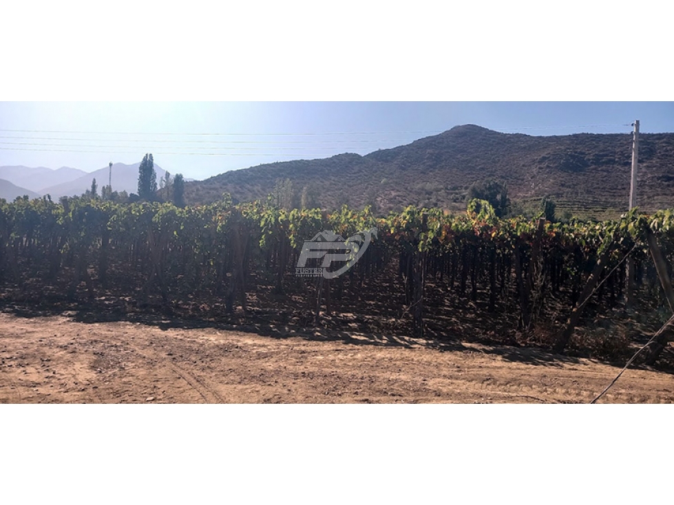 Parcela en venta en San Esteban — foto 6