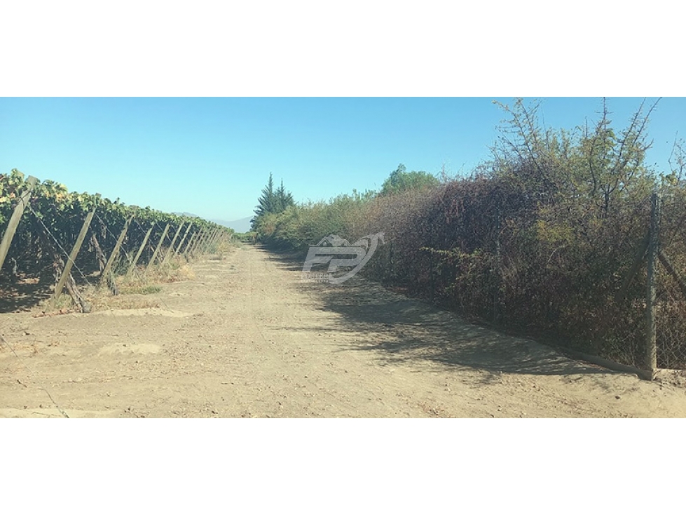 Parcela en venta en San Esteban — foto 8