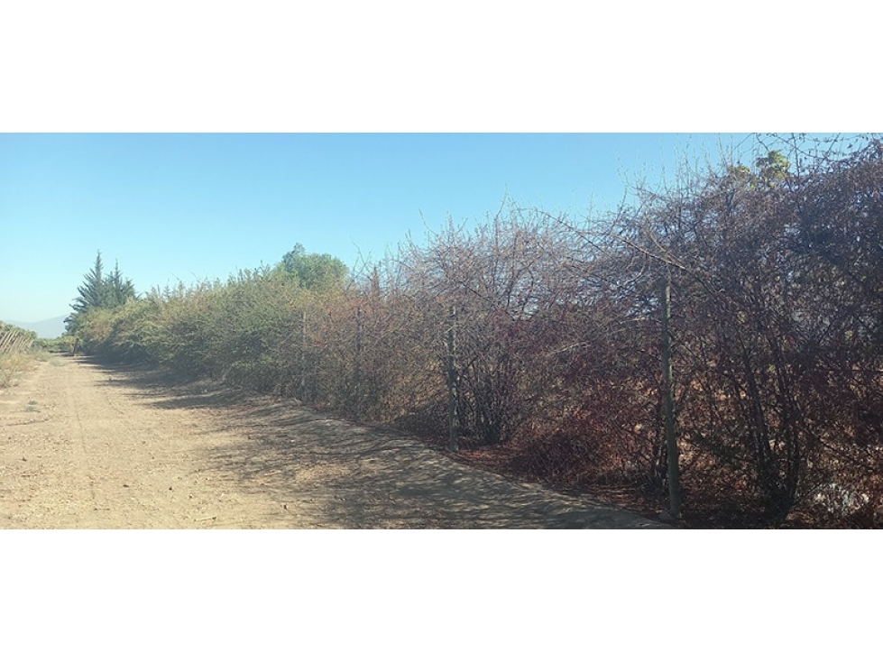 Parcela en venta en San Esteban — foto 10