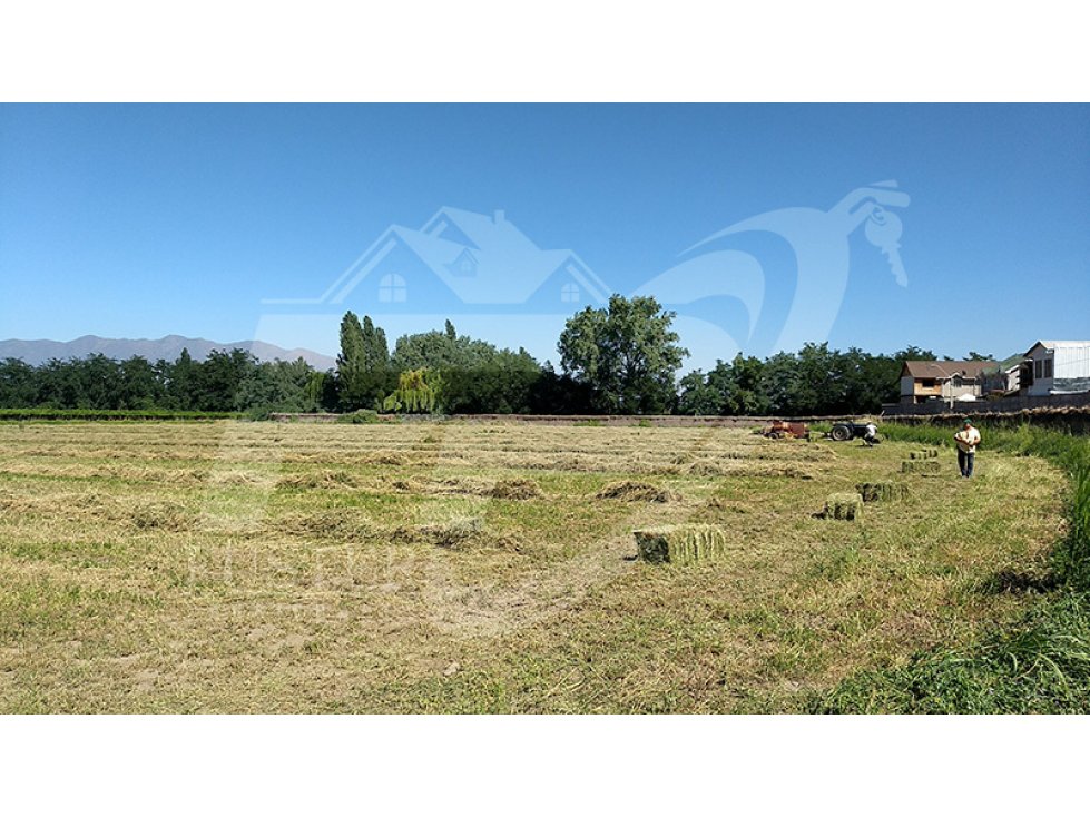 Terreno en venta en Calle Larga — foto 3
