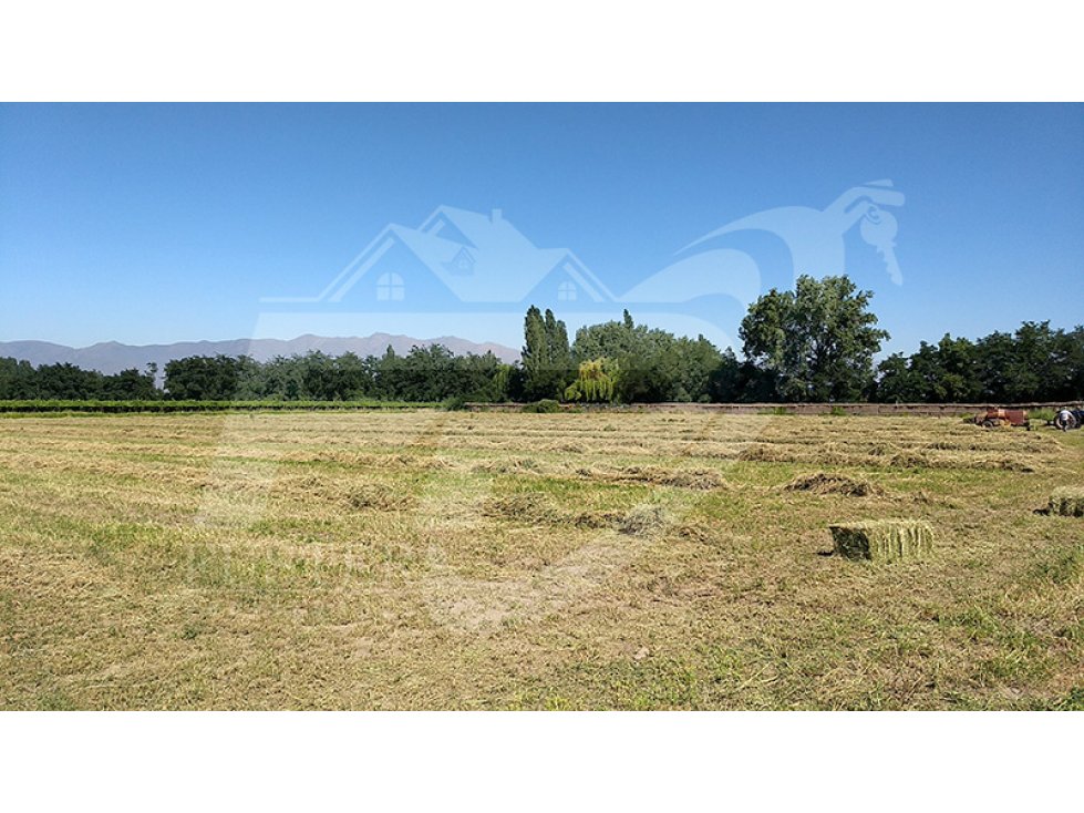 Terreno en venta en Calle Larga — foto 4