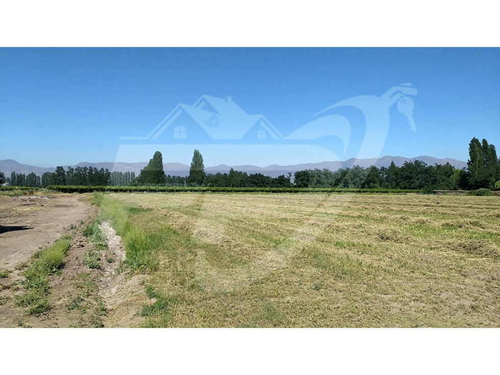 Terreno en venta en Calle Larga — foto 5