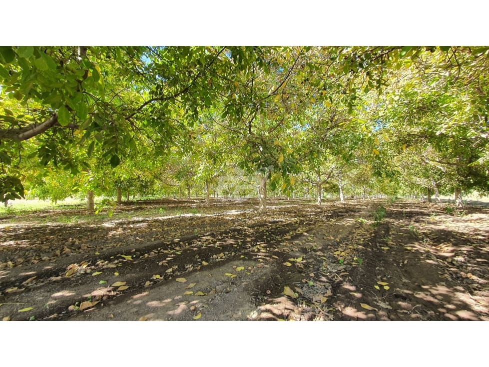 Parcela en venta en San Esteban — foto 1