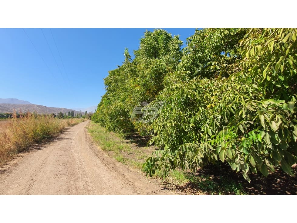 Parcela en venta en San Esteban — foto 3