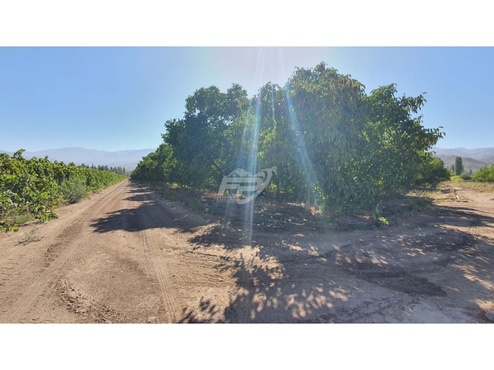 Parcela en venta en San Esteban — foto 7
