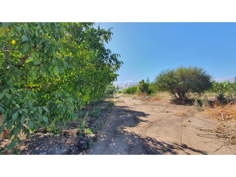 Parcela en venta en San Esteban — foto 9