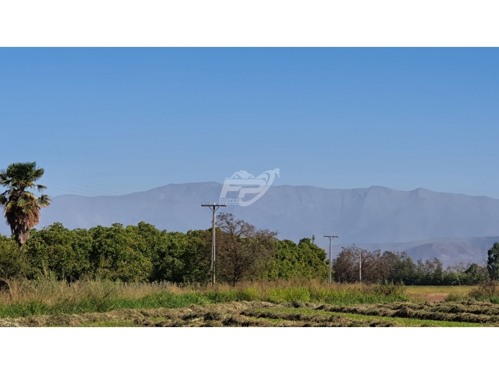 Parcela en venta en San Esteban — foto 10