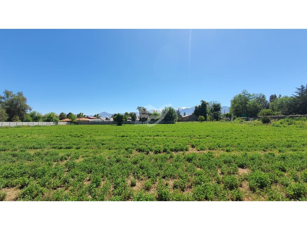 Terreno en venta en San Felipe — foto 9